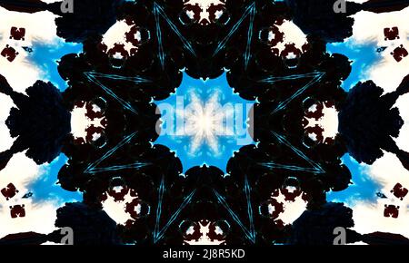 Caleidoscopio di prova dell'inkblot di Rorschach. Psycho Diagnostic inkblot test Rorschach, la tecnica proiettiva Rorschach, o semplicemente il test inkblot. Foto Stock