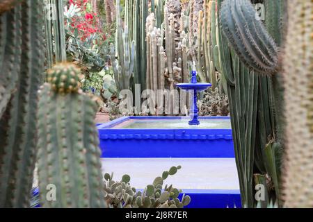 Stagno nel giardino Majorelle a Marrakech, Marocco Foto Stock