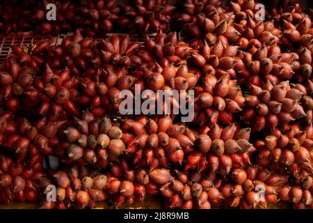 Mucchio di frutta zalacca matura in vendita sul mercato Foto Stock