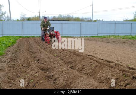 Un uomo coltiva un campo con un trattore walk-behind. Lavori agricoli in giardino. Foto Stock