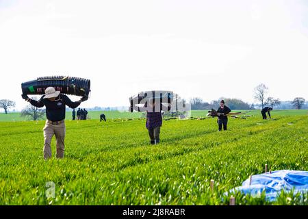 11 aprile 2022 - Bishop's Stortford, Inghilterra, Regno Unito - i membri di un team di recupero della Defense POW/mia Accounting Agency (DPAA) trasportano secchi e strumenti durante una missione di recupero della DPAA in Inghilterra, 11 aprile 2022. La missione DPAAs è quella di realizzare il più possibile la contabilità per il personale degli Stati Uniti mancante e non contabilizzato per le loro famiglie e la nostra nazione. Credit: U.S. Air Force/ZUMA Press Wire Service/ZUMAPRESS.com/Alamy Live News Foto Stock