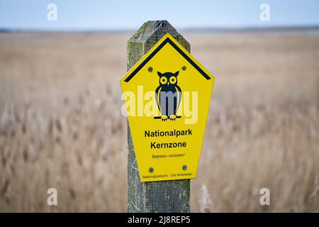 Cartello National Park Core zone sul Mar Baltico. Simbolo OWL con sfondo giallo. Segnale di avvertimento, segnale di avviso. Dettagli dalla natura Foto Stock