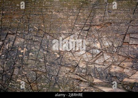 Fondo tritato in legno. Vecchia scheda con graffi e scheggiature. Foto Stock