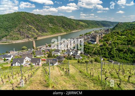 Blick auf Oberwesel mit Weinberg, dem Ochsenturm, Kirche St. Martin, Liebfrauenkirche und dem Rhein, Welterbe Oberes Mittelrheintal, Oberwesel, Rhein Foto Stock