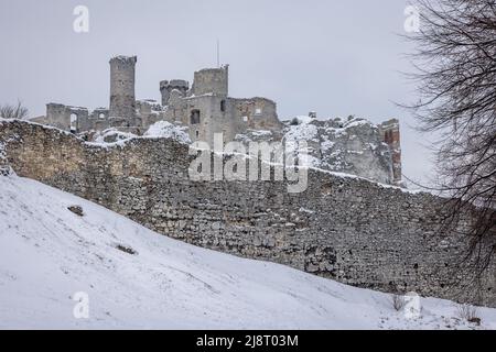 Castello medievale di Ogrodzieniec nel villaggio di Podzamcze, nella cosiddetta regione polacca del Giura, parte del Sentiero dei nidi delle aquile Foto Stock