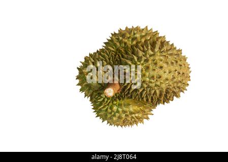 Thailandia isolata Durian su sfondo bianco, immagine vista dall'alto di Durian intero, il re di frutta Asia. Foto Stock