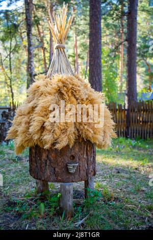 Un antico apiario con alveari artificiali fatti di paglia e corteccia di alberi, che si erge nella foresta tra gli alti alberi verdi delle montagne dell'Altai Foto Stock