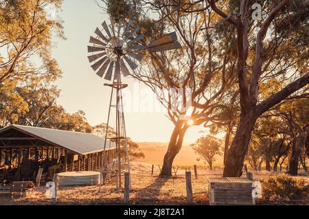 Vecchio mulino a vento arrugginito in una fattoria nella McLaren Valley al tramonto, Australia Meridionale Foto Stock