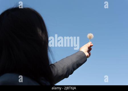 Una donna che tiene un fiore di dente di leone Foto Stock