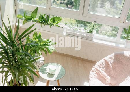 veranda interna in colori luminosi con piante per la casa e una grande poltrona Foto Stock