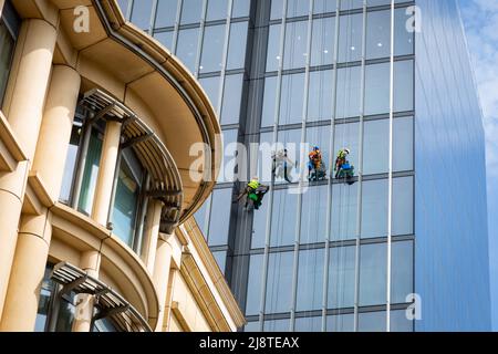 I pulitori delle finestre puliscono un alto edificio Foto Stock