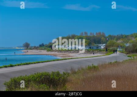 Campeggio 'Koralle' in umido-Fischleger comunità, Mar Baltico, paesaggio Schwansen, Stato federale Schleswig-Holstein, Nprthern Germania, Europa Foto Stock