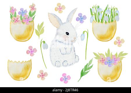 Set primaverile di coniglietto e fiori in una conchiglia. Set di Pasqua di carine illustrazioni acquerello. Gocce di neve e primrose disegnate a mano con coniglio. Clipart. Foto Stock