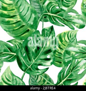 Acquerello Monstera disegnato a mano lascia il pattern senza giunture. Sfondo tropicale fogliame. Jungle stampa per tessuto e carta da imballaggio. Carta da parati esotica Foto Stock