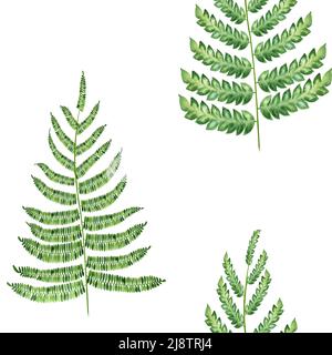 Struttura di acquerello con diramazione Fern senza giunture. Illustrazione botanica disegnata a mano. Texture senza fine con fogliame di felci su sfondo isolato. Foglie verdi wal Foto Stock