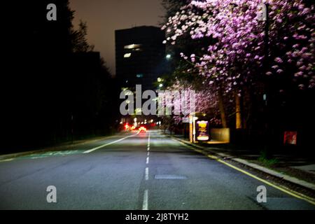 Nel mezzo di una strada o di un'autostrada che guarda avanti durante la notte in una città, Regno Unito Foto Stock