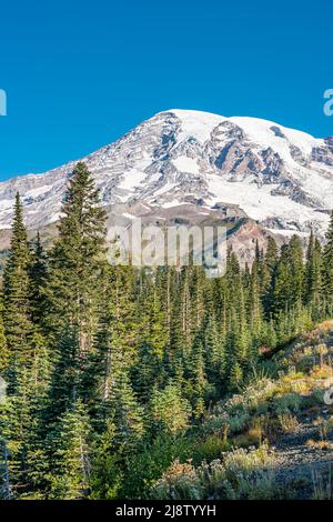 Vista del Monte Rainier da Paradise, del Mount Rainier National Park, Washington state, USA Foto Stock