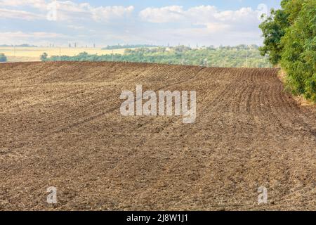 Un campo infinito con lunghe file di terra marrone arata contro un paesaggio estivo e verde all'orizzonte in sfocatura. Spazio di copia. Foto Stock