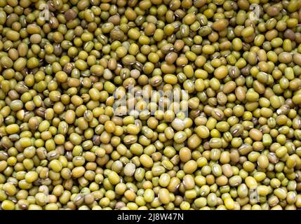 Fondo di fagioli mung. Carta da parati vegana. Banner Foto Stock