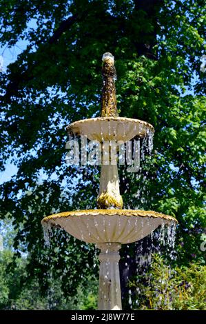 SHEFFIELD. SOUTH YORKSHIRE. INGHILTERRA. 05-14-22. L'Orto Botanico, la fontana alla fine del confine erbaceo principale. Foto Stock