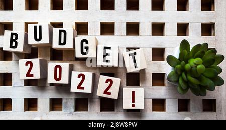 Le parole BUDGET 2022 sono scritte su cubi di legno con un cactus su uno sfondo bellissimo. Foto Stock