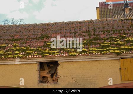 tetto di ghiaia con muschio verde sulla superficie . muschio sul tetto Foto Stock