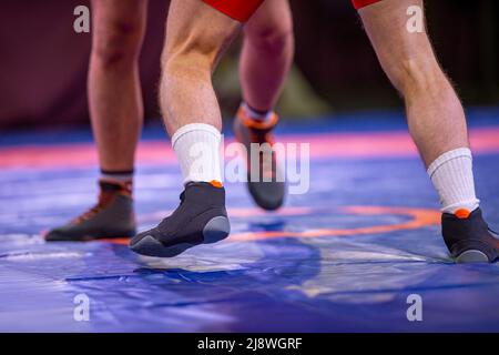 Lotta greco-romana. Due lottatori sportivi in uniforme rossa e blu che lottano contro il tappeto da wrestling Foto Stock