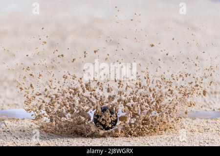 Area del settore shot put. Palla salto sulla sabbia. Sport atletico su pista e campo. Poster a tema sportivo orizzontale, biglietti d'auguri, intestazioni, sito Web e app Foto Stock