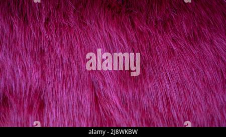 Texture peluche viola a pelo lungo. Tessitura del tessuto. Primo piano. Foto Stock