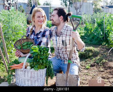Coppia di giardinieri professionisti che tengono raccolto di verdure e di verdure Foto Stock