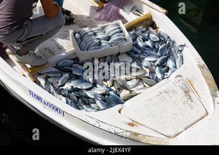 Pesce appena pescato in barca da pesca al mercato nel porto di Sarande Foto Stock