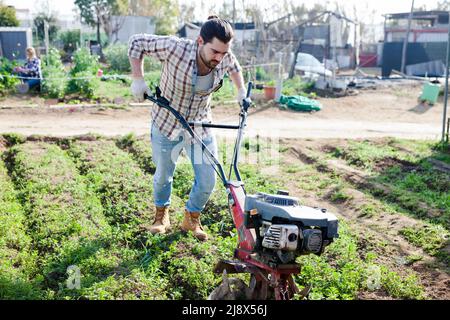 Giardiniere utilizzando coltivatore motorizzato nel suo giardino Foto Stock