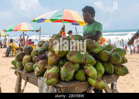 Uomo che vende acqua di cocco sulla spiaggia di mare a Puri Odisha, India Foto Stock