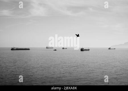 Una foto monocromatica delle navi da carico in mare aperto Foto Stock