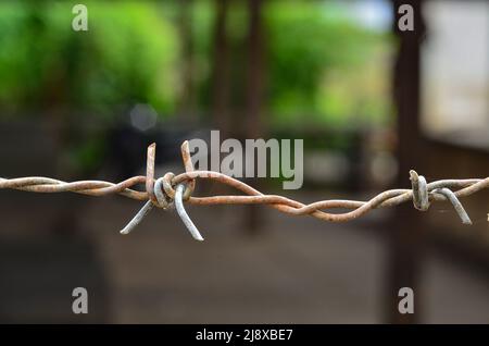 Filo spinato arrugginito teso in natura Foto Stock