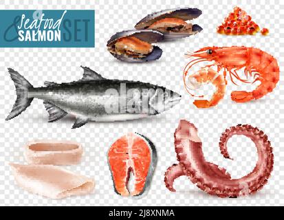 Set realistico di frutti di mare con fette di calamari di gamberi di salmone fresco intero ottopus tentacoli cozze sfondo trasparente illustrazione vettoriale Illustrazione Vettoriale