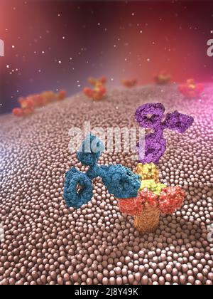 Anticorpi multicolore o strutture proteiche di immunoglobulina attaccate al recettore - illustrazione 3D Foto Stock