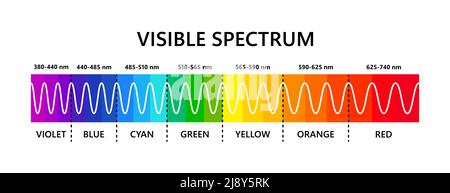 Spettro luminoso visibile. Lunghezza d'onda della luce ottica. Spettro di colori visibili elettromagnetici per l'occhio umano. Diagramma gradiente vettoriale con lunghezza d'onda e. Illustrazione Vettoriale