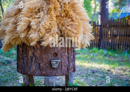 Un antico apiario con alveari artificiali fatti di paglia e corteccia di alberi, che si erge nella foresta tra gli alti alberi verdi delle montagne dell'Altai Foto Stock