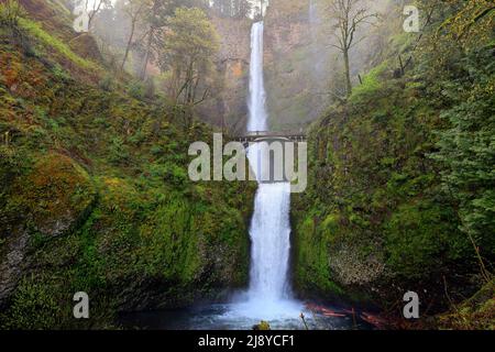 Multnomah Falls nella Columbia River Gorge National Scenic Area, Oregon. La cascata più alta dell'Oregon con il Benson Bridge che si estende sulle cascate più basse Foto Stock