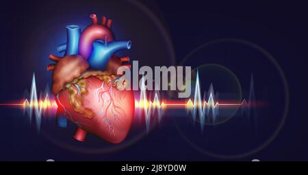 Illustrazione di Human Heart 3D. Danni fisici, attacco cardiaco, stress. Frequenza cardiaca, frequenza, impulsi cardiaci Foto Stock