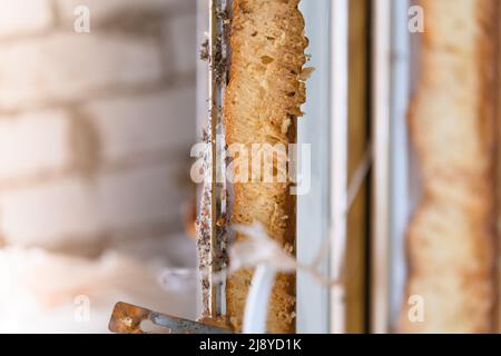 Un taglio della vecchia schiuma poliuretanica su una finestra in plastica smontata. Profilo in vetro isolante Foto Stock