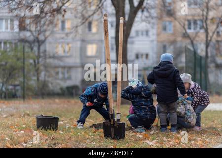 rimboschimento o bambini imparare o aiutare a piantare alberi all'aperto Foto Stock