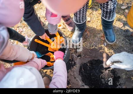 i bambini scavano il suolo nero con la pala o aiutano a piantare l'albero che pianta all'aperto Foto Stock