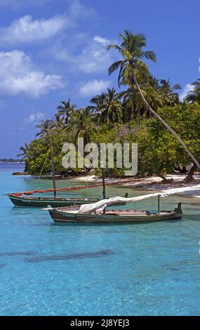 Barche da pesca tradizionali, chiamate Dhoni nella laguna di un'isola delle maldive, Maldive, Oceano Indiano, Asia Foto Stock