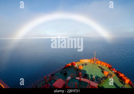 Una rara prua di nebbia si trova sopra l'Oceano Artico di fronte ai 50 anni di Victory (50 Let Pobody) rompighiaccio nucleare Foto Stock