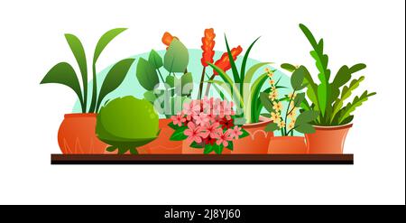 Piante e fiori interni. Ancora vita sul davanzale. In pentole di ceramica. Belle erbe fatte in casa. Isolato su sfondo bianco. Stile divertente Cartoon. V Illustrazione Vettoriale
