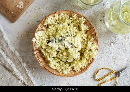 Fiori di sambuco appena raccolti in un cestino su un tavolo con una brocca di sciroppo di erbe, vista dall'alto Foto Stock