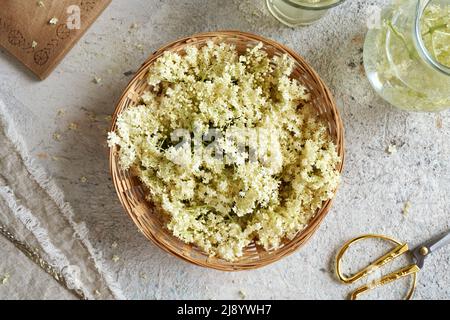 Fiori freschi di sambuco con una brocca di limonata alle erbe con sciroppo fatto in casa in primavera Foto Stock