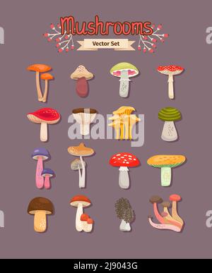 Set di funghi diversi dipinti commestibili e non commestibili. Illustrazione vettoriale Illustrazione Vettoriale